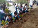 hs trong cay.jpg - 