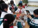 hsthuchanhstem1.jpg - 